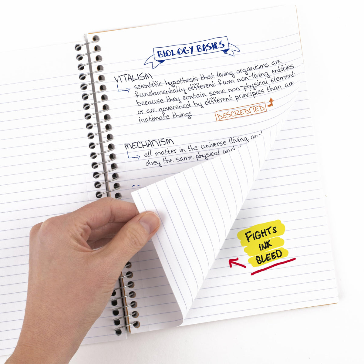 Five Star Spiral Notebook, 2 Subject, College Ruled Paper, 6" x 9-1/2", 80 Sheets, Fights Ink