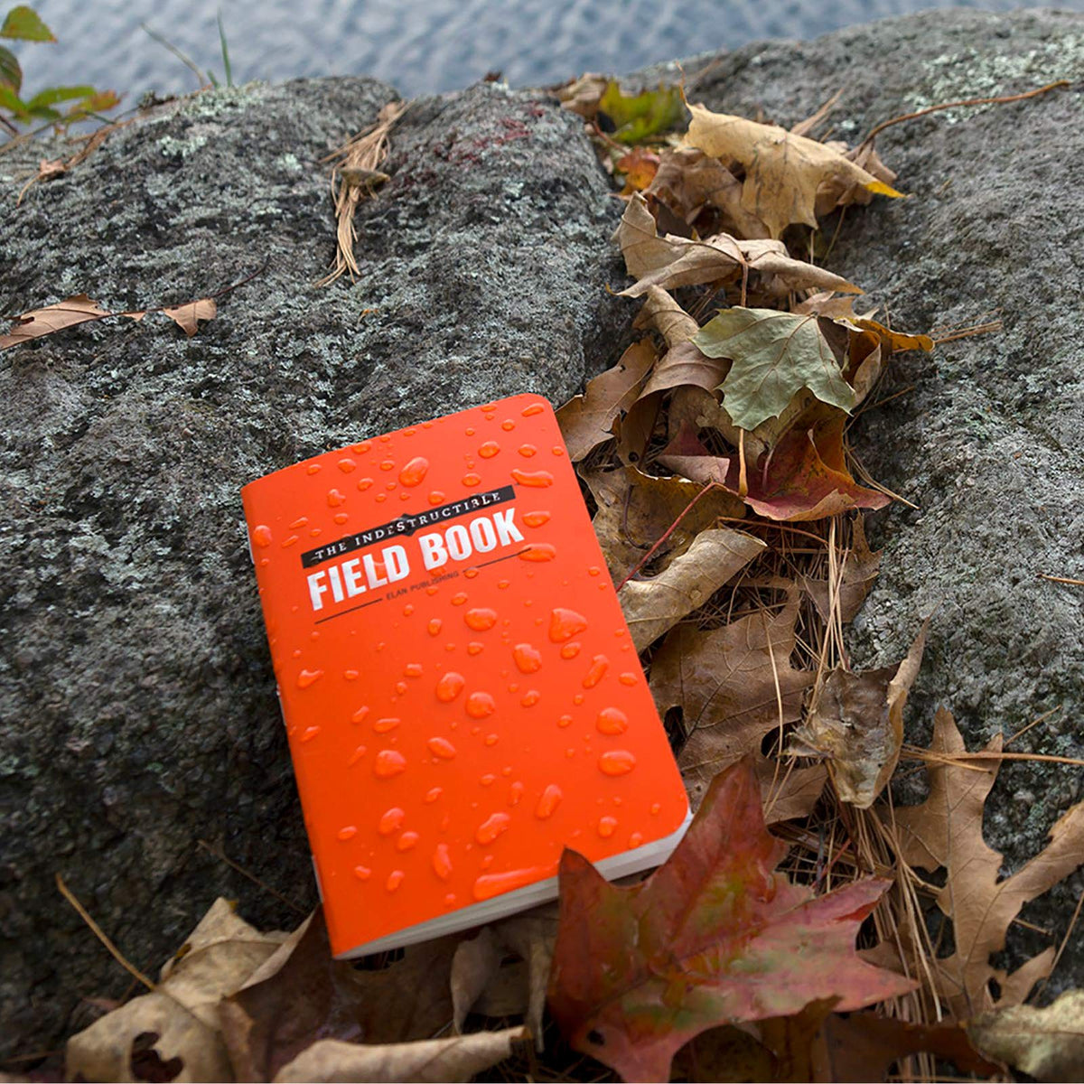 Elan Publishing Company the Indestructible 3.5 by 5.5 in Field Notebook, Orange, Pack of 4