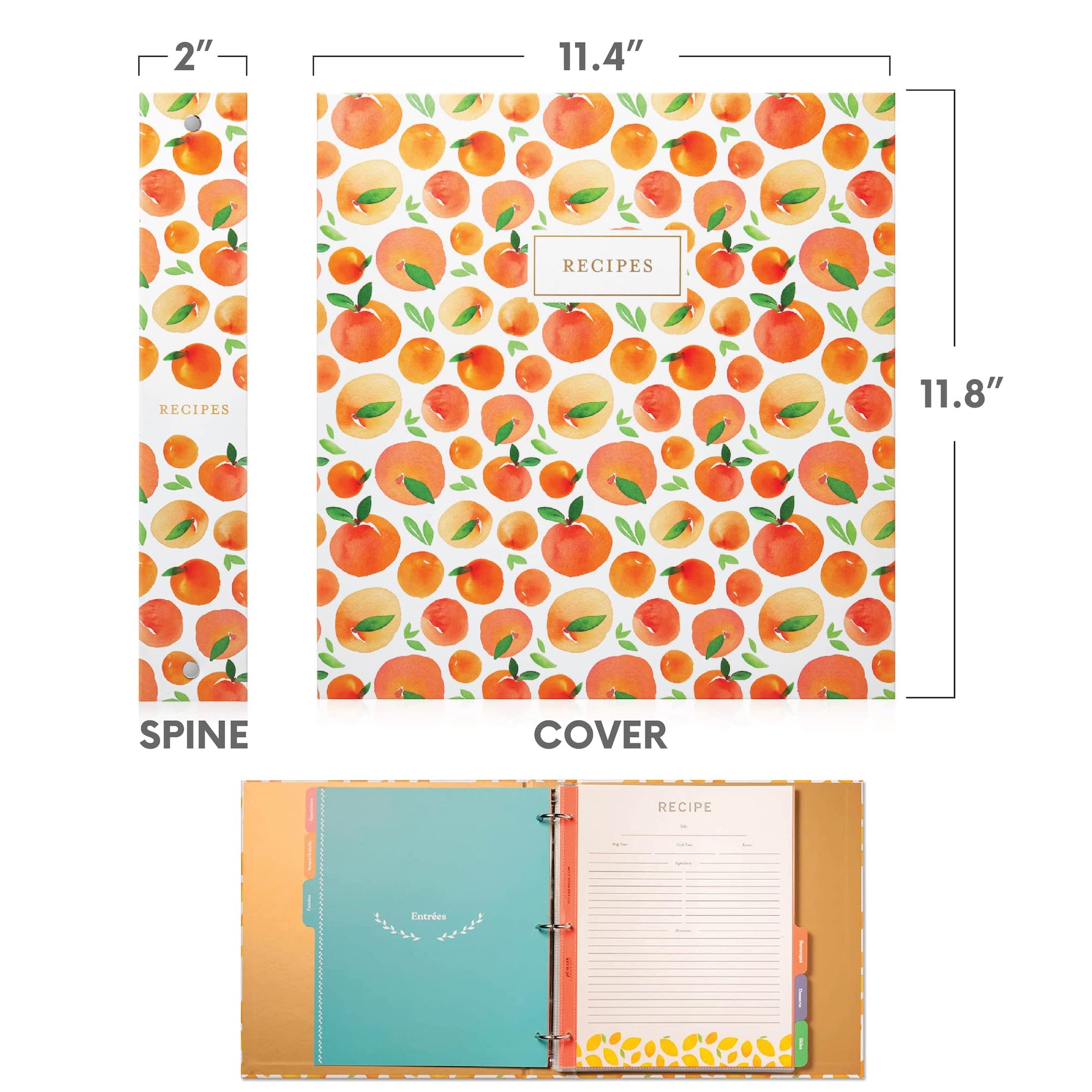 Jot & Mark Recipe Binder 8.5x11 | Spill-Proof Sleeves | Peach Dream