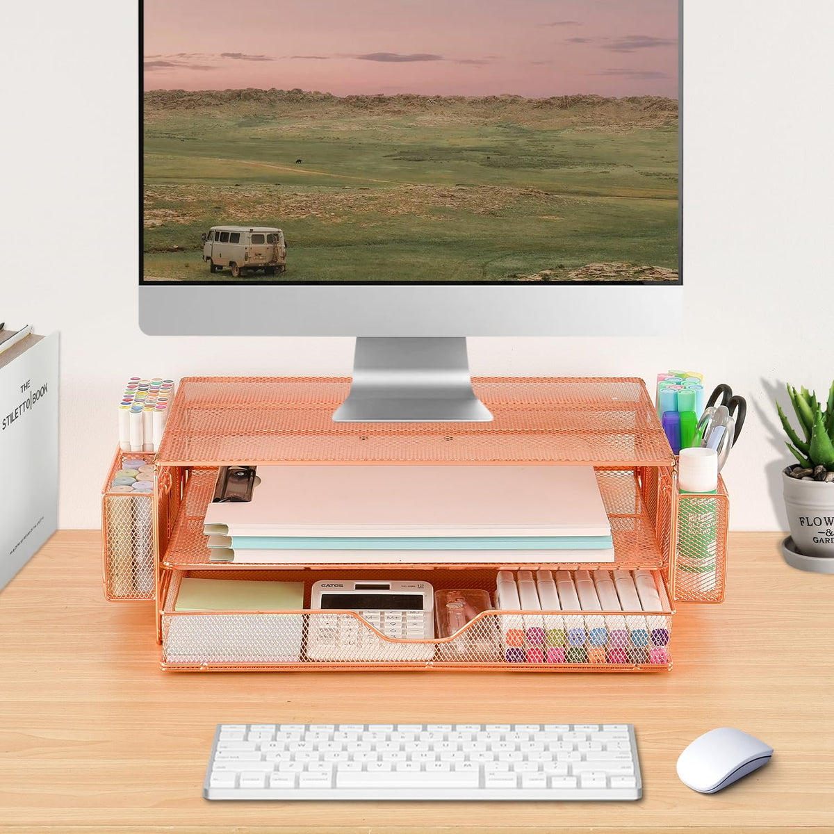 AUPSEN Computer Monitor Stands Riser，2-Tier Desk Organizers and Accessories, Office Desk