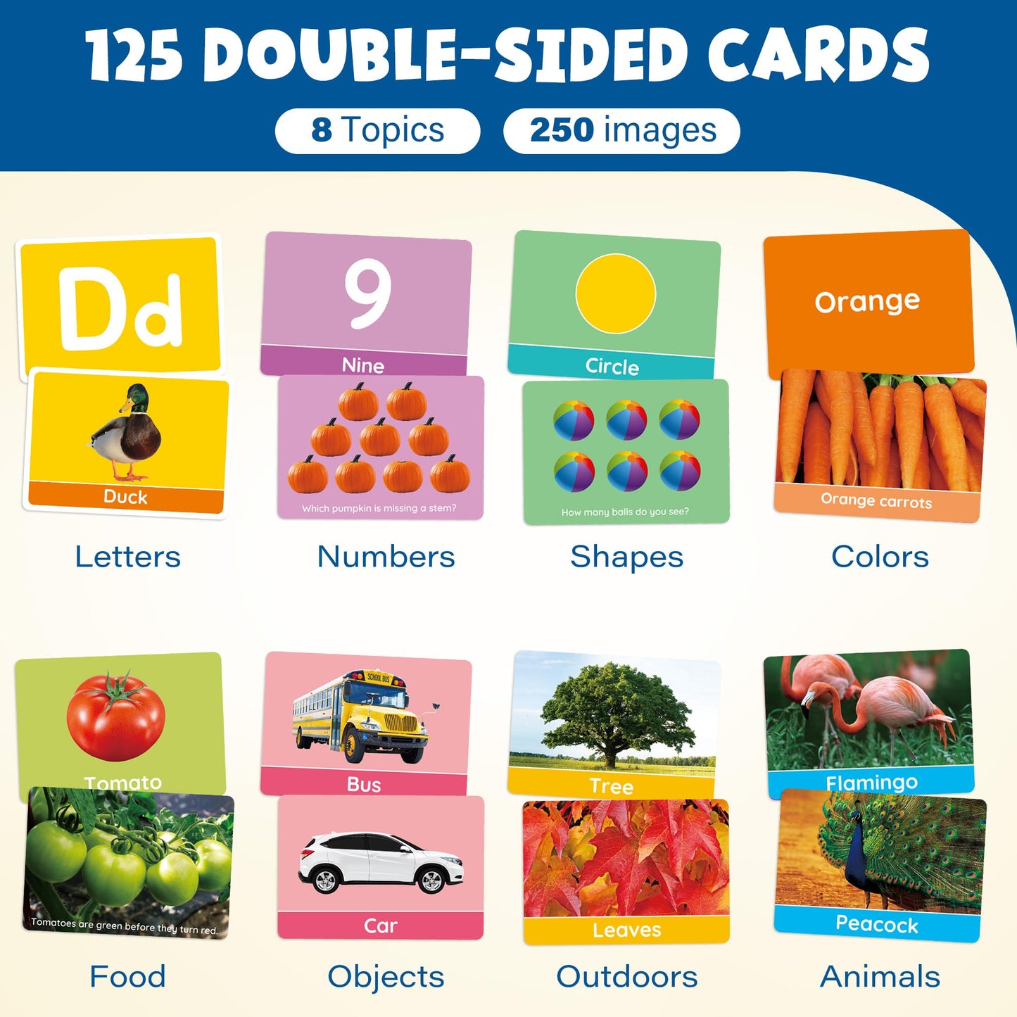 BenBen Flash Cards for Toddlers, Extra Thick, 250 Images, Double-Sided Educational Flashcards
