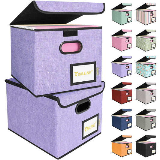 BALEINE File Organizer Box with Lid, Collapsible Hanging File Storage Box