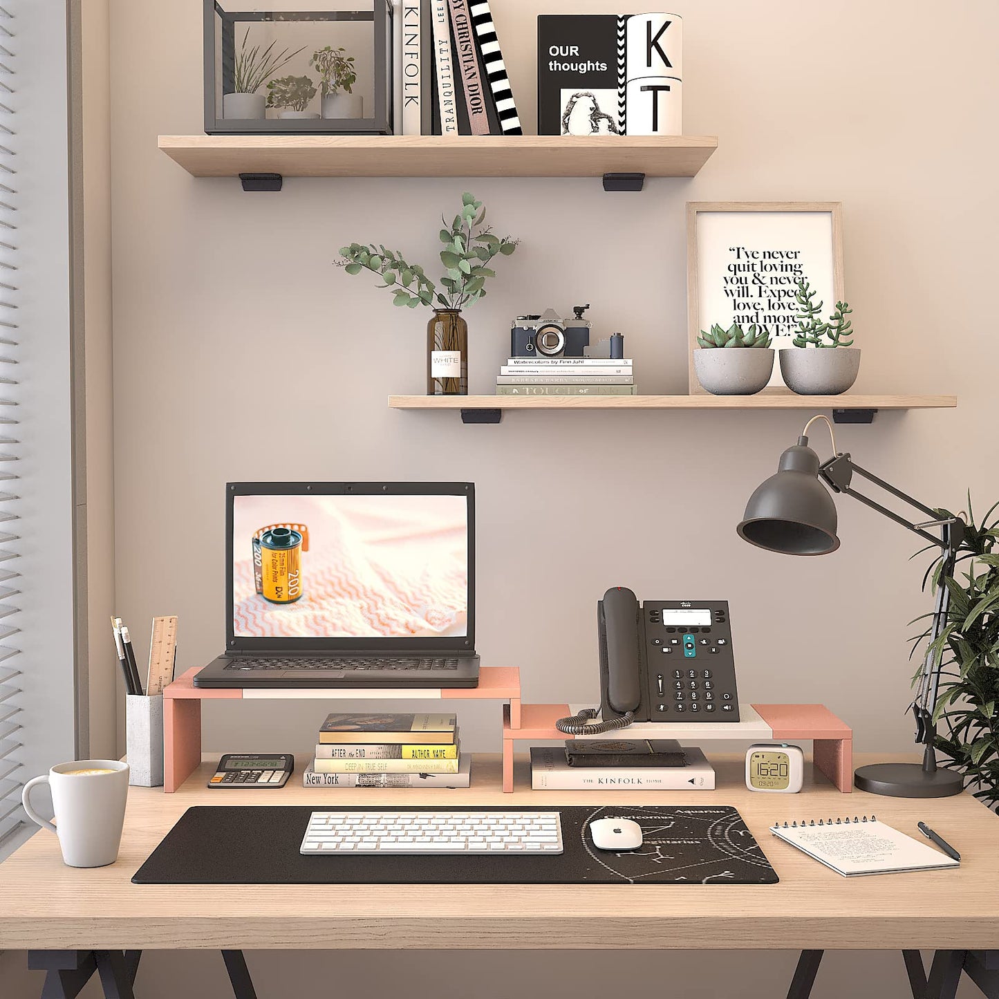 WESTREE Dual Monitor Stand - Monitor Stand Riser - 2 Shelf Computer Monitor Stand with Adjustable