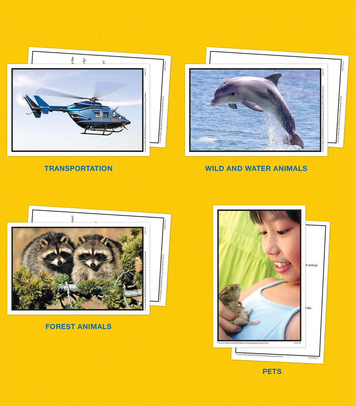 Key Education Early Learning Language Library Flash Cards, Speech Therapy