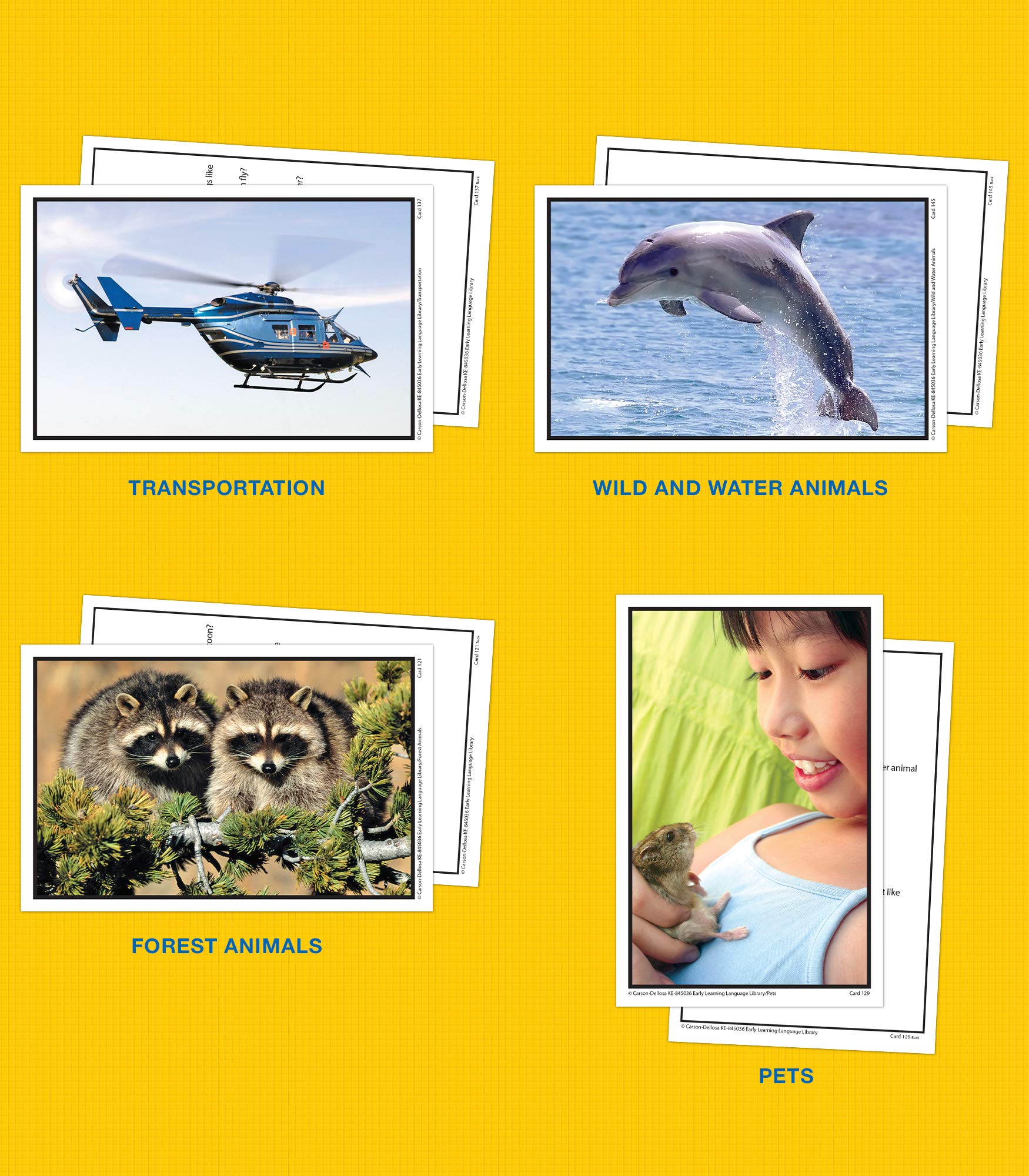Key Education Early Learning Language Library Flash Cards, Speech Therapy