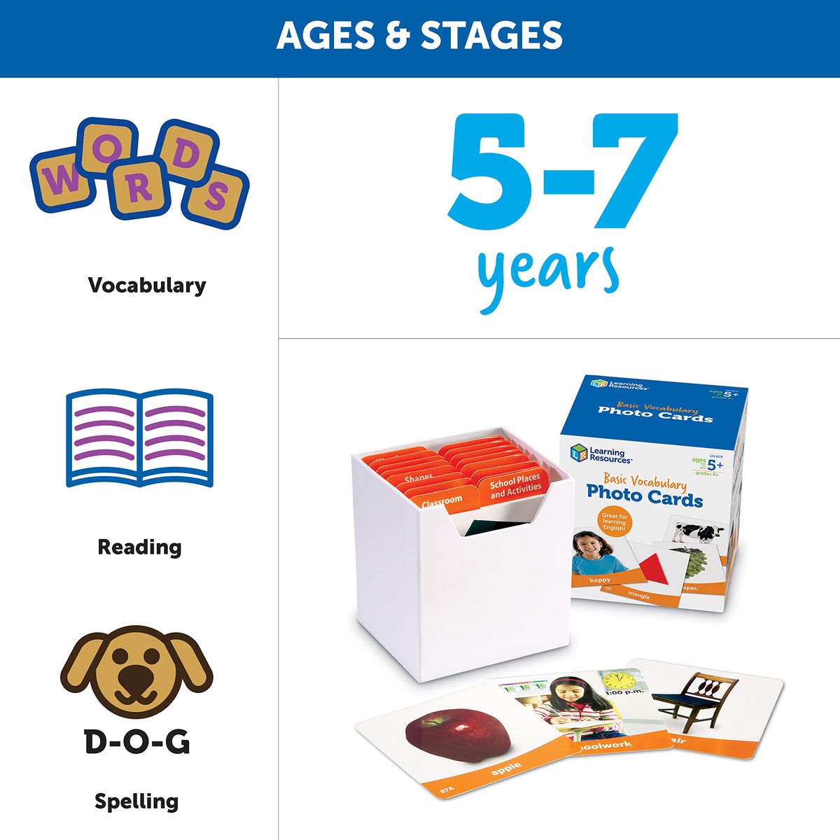 Learning Resources Basic Vocabulary Photo Cards, Vocabulary/Phonics Learning, Educational Games for