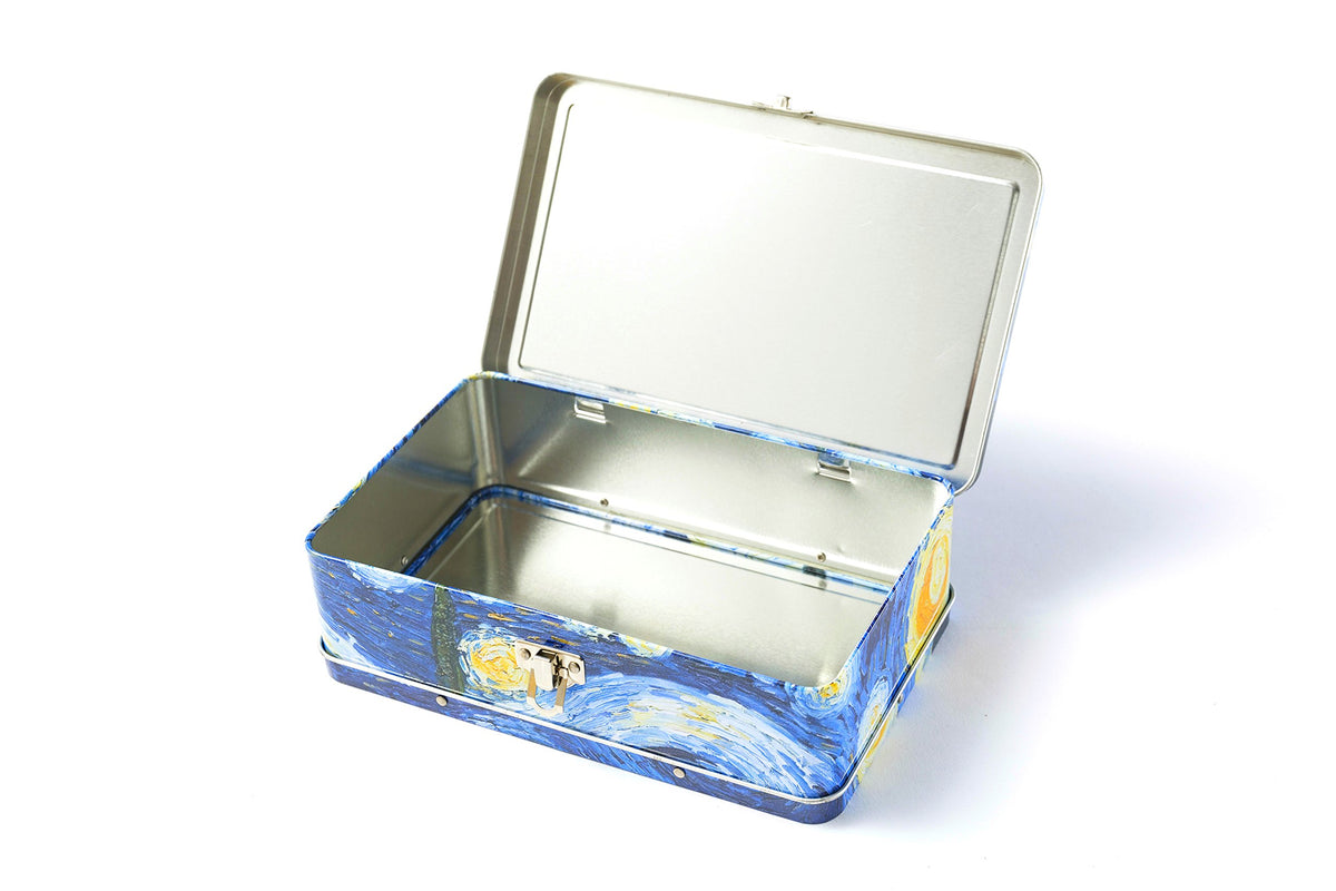 DAHO Metal Storage Box with Hinge for Office, School, Home, Makeup, Arts & Crafts and Accessories