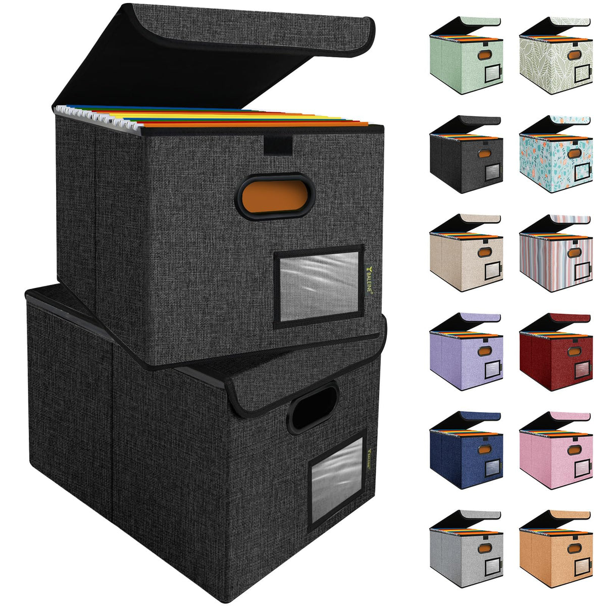 BALEINE File Organizer Box with Lid, Collapsible Hanging File Storage Box