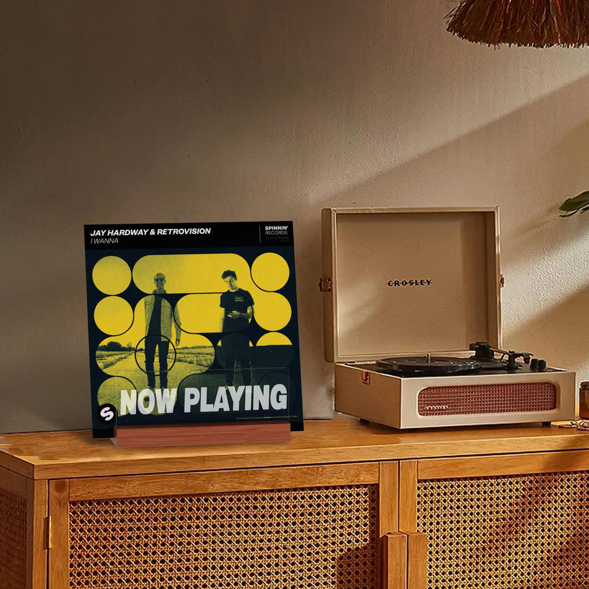 Ammonite Light up Vinyl Record Stand, Wooden Acrylic Holder for Album Display and Storage, Warm