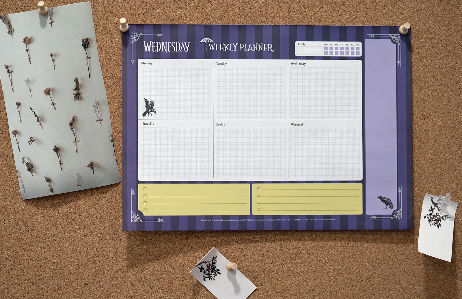 Grupo Erik Wednesday Weekly Planner A4 | Wednesday Calendar | Family Calendar | 54 Tear Off Pages |