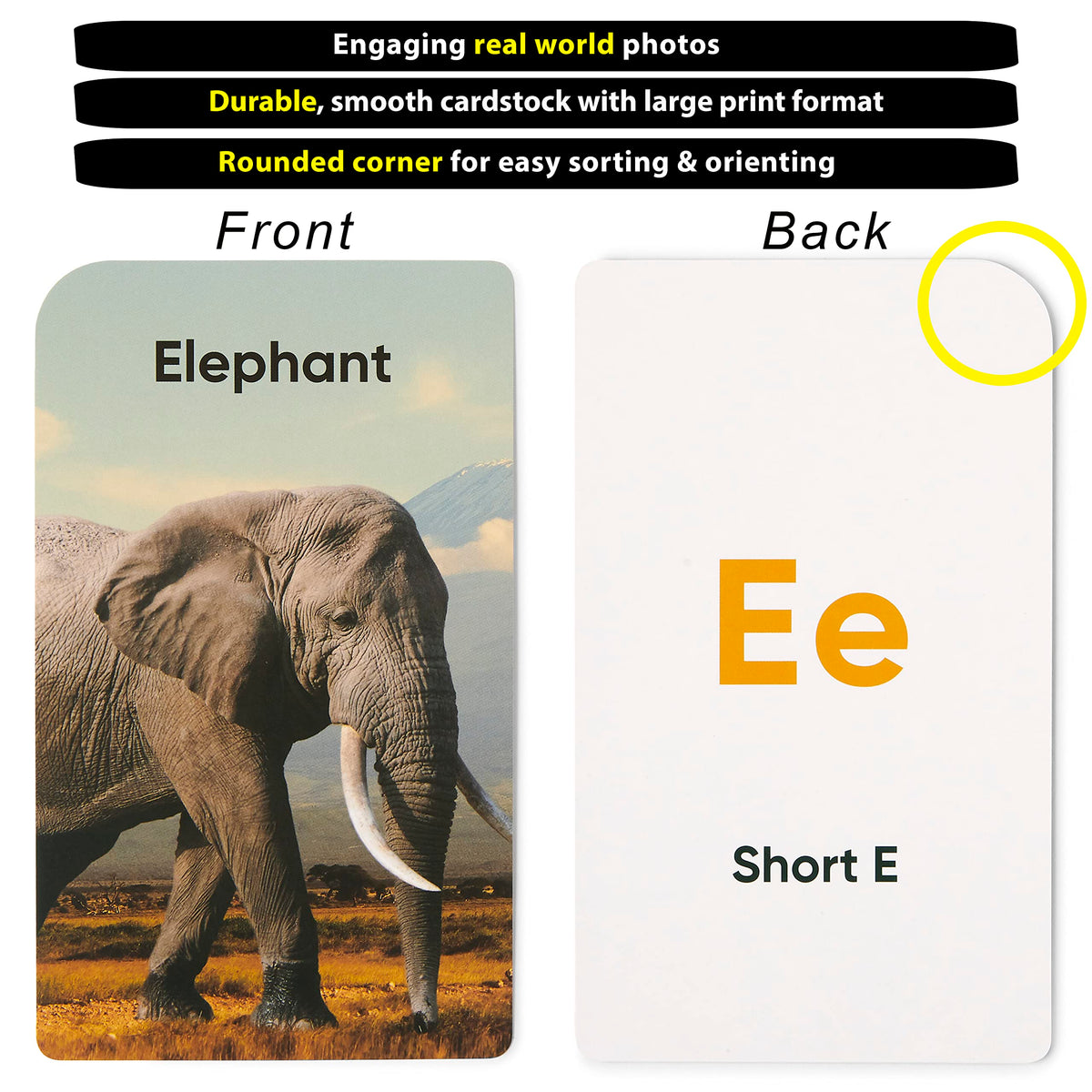 Award-Winning Flash Cards for Preschool & Kindergarten – 5-Deck Set, 180 Jumbo Cards – Learn
