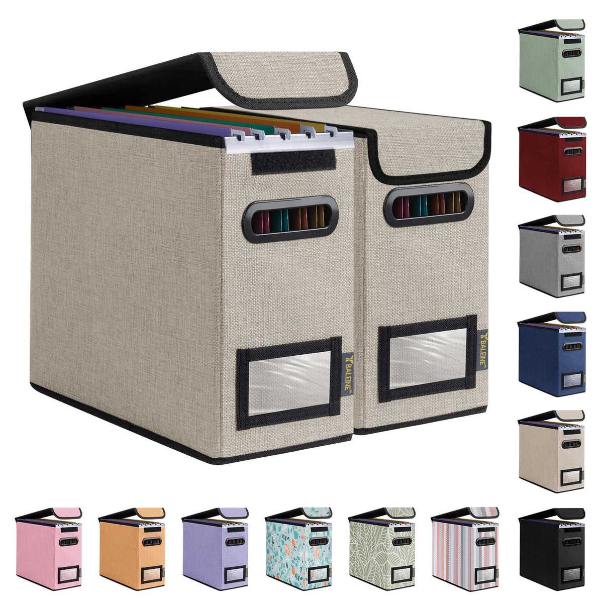 BALEINE File Organizer Box with Lid, Collapsible Hanging File Storage Box