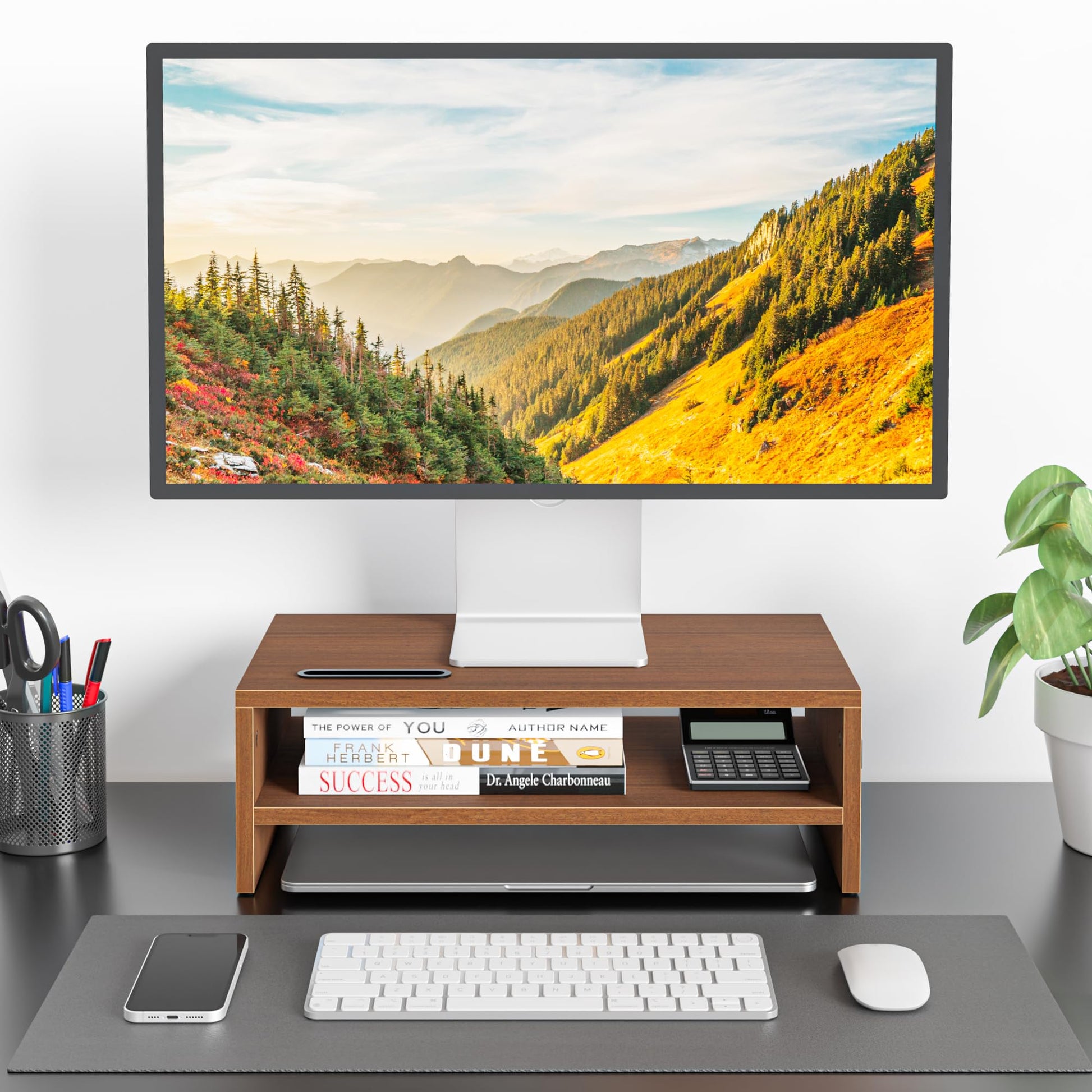 BONTEC Wooden Monitor Stand Riser for Desk, 2-Tier Computer Monitor Stand