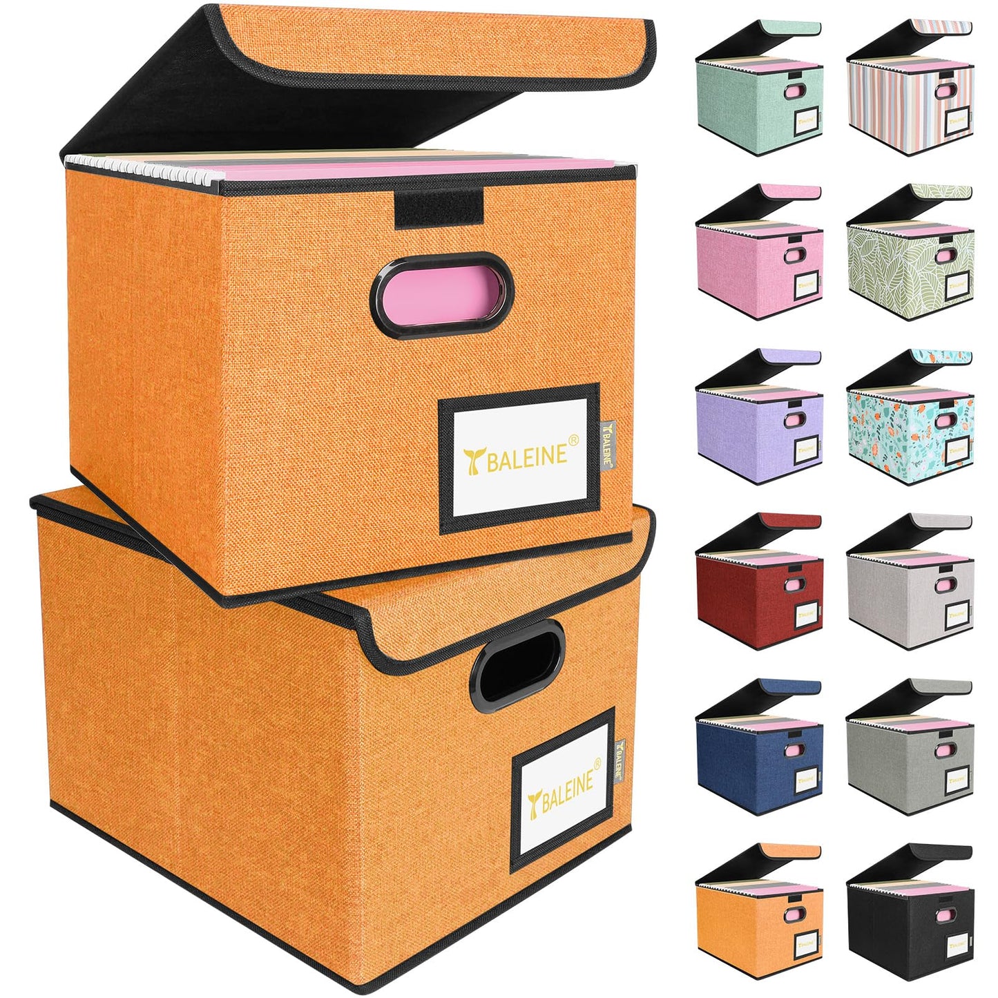 BALEINE File Organizer Box with Lid, Collapsible Hanging File Storage Box