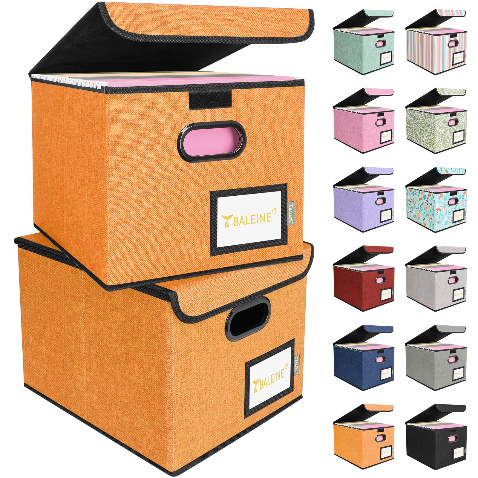 BALEINE File Organizer Box with Lid, Collapsible Hanging File Storage Box