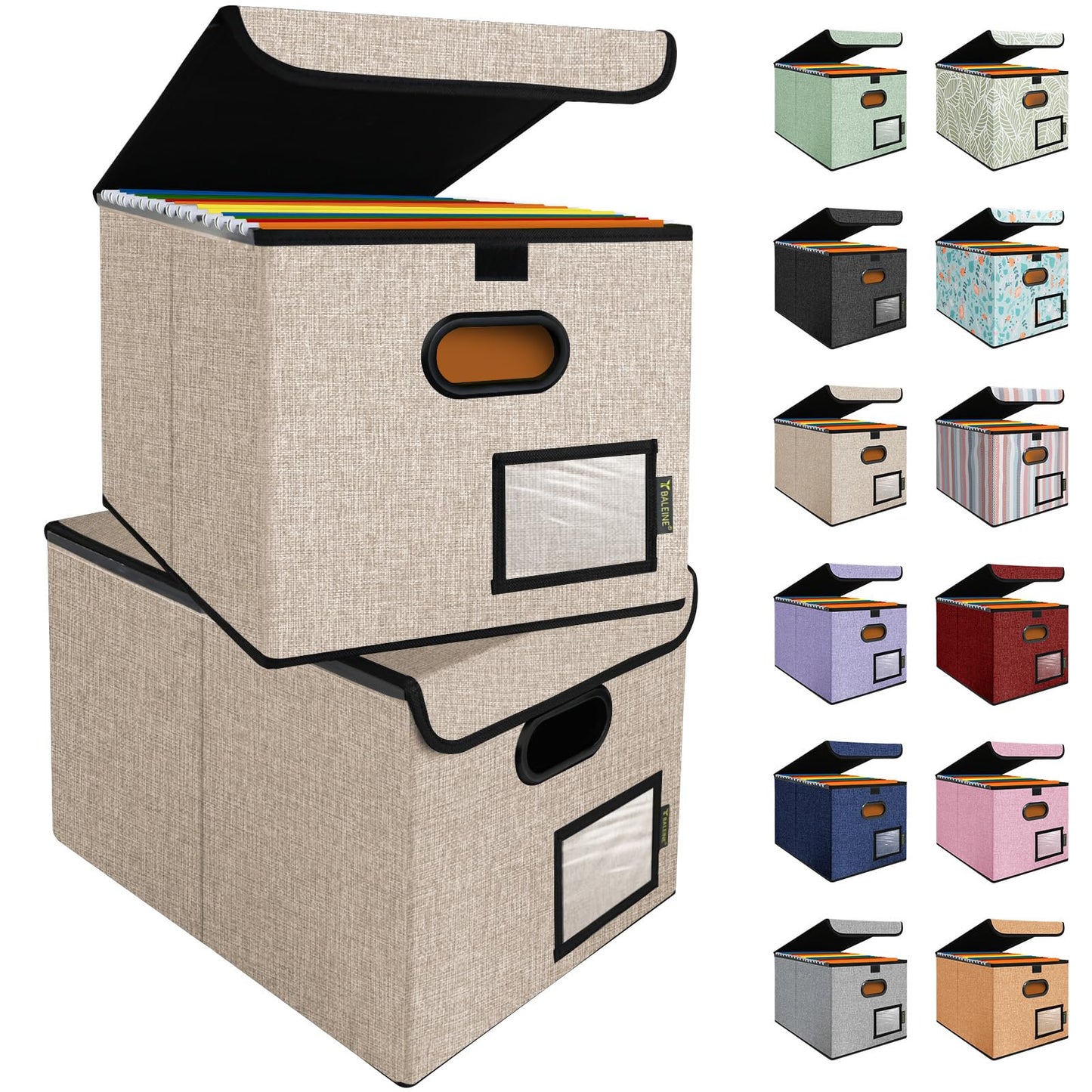 BALEINE File Organizer Box with Lid, Collapsible Hanging File Storage Box