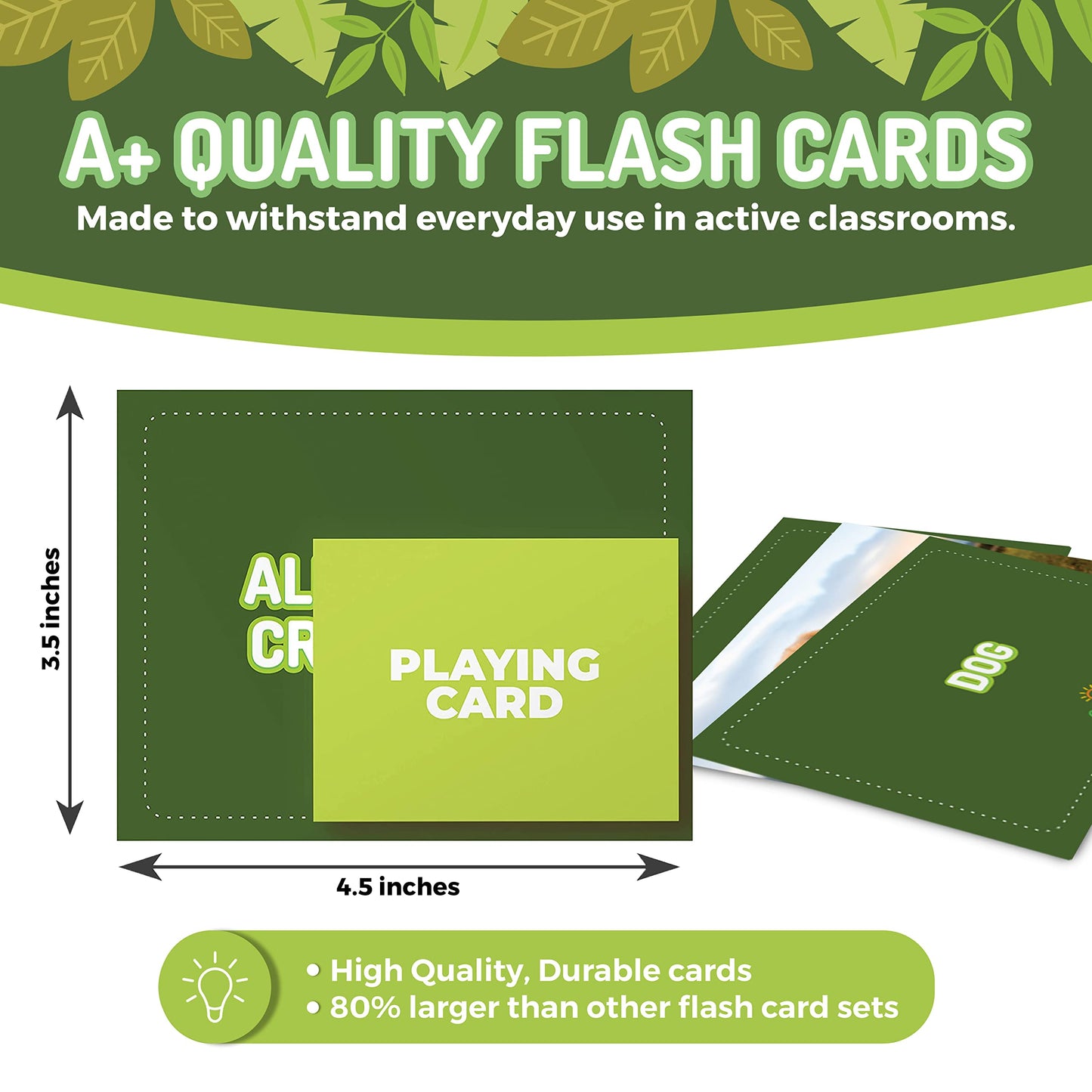 CreateFun 50 Animal Flash Cards - Realistic Photos for Speech Therapy ESL
