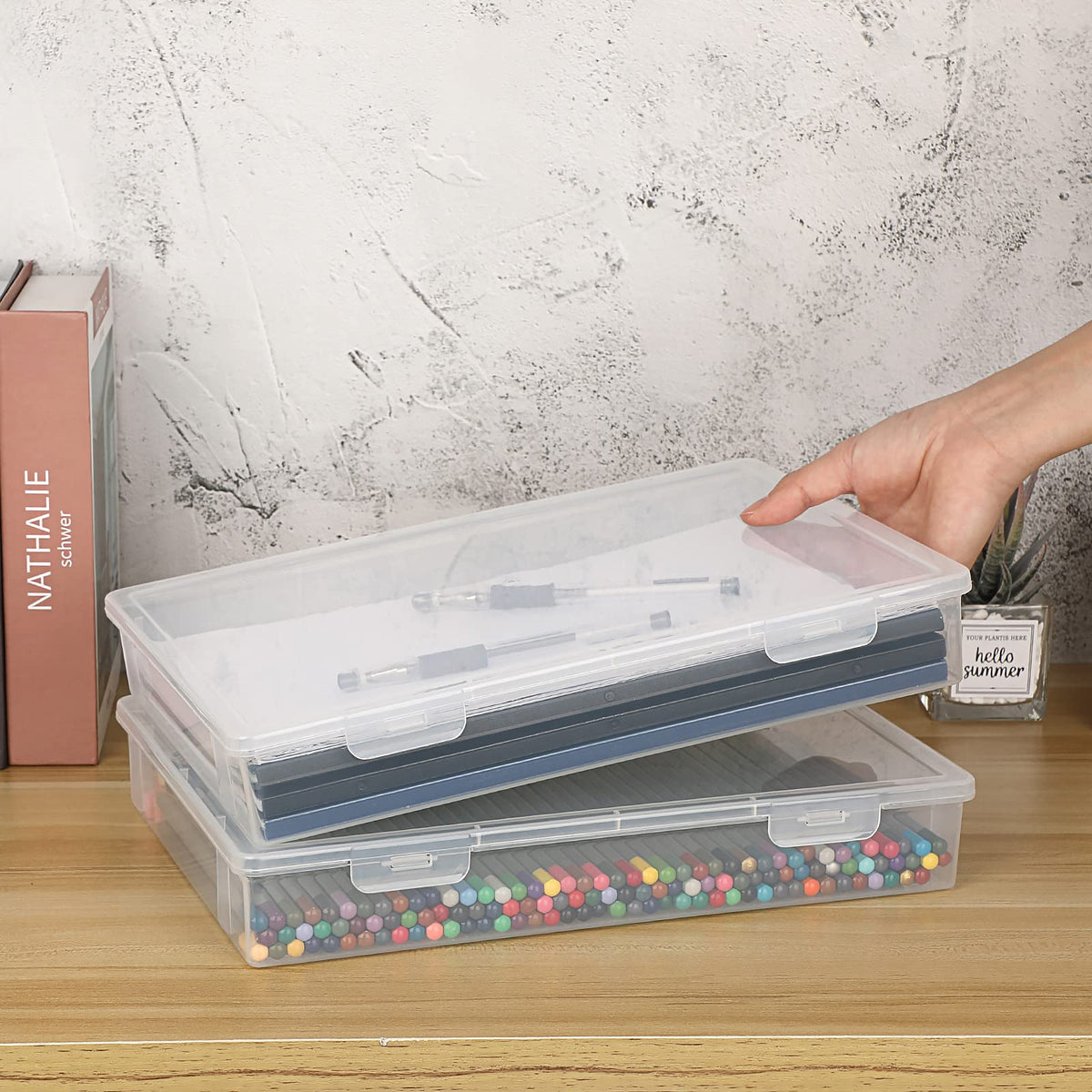 BTSKY Clear Plastic Storage Box with Flap Lid, Multipurpose Craft Organizers and Storage Box Art