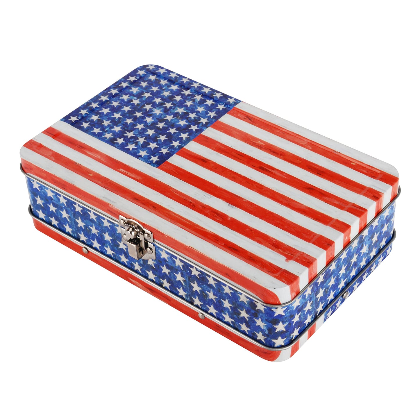 DAHO Metal Storage Box with Hinge for Office, School, Home, Makeup, Arts & Crafts and Accessories
