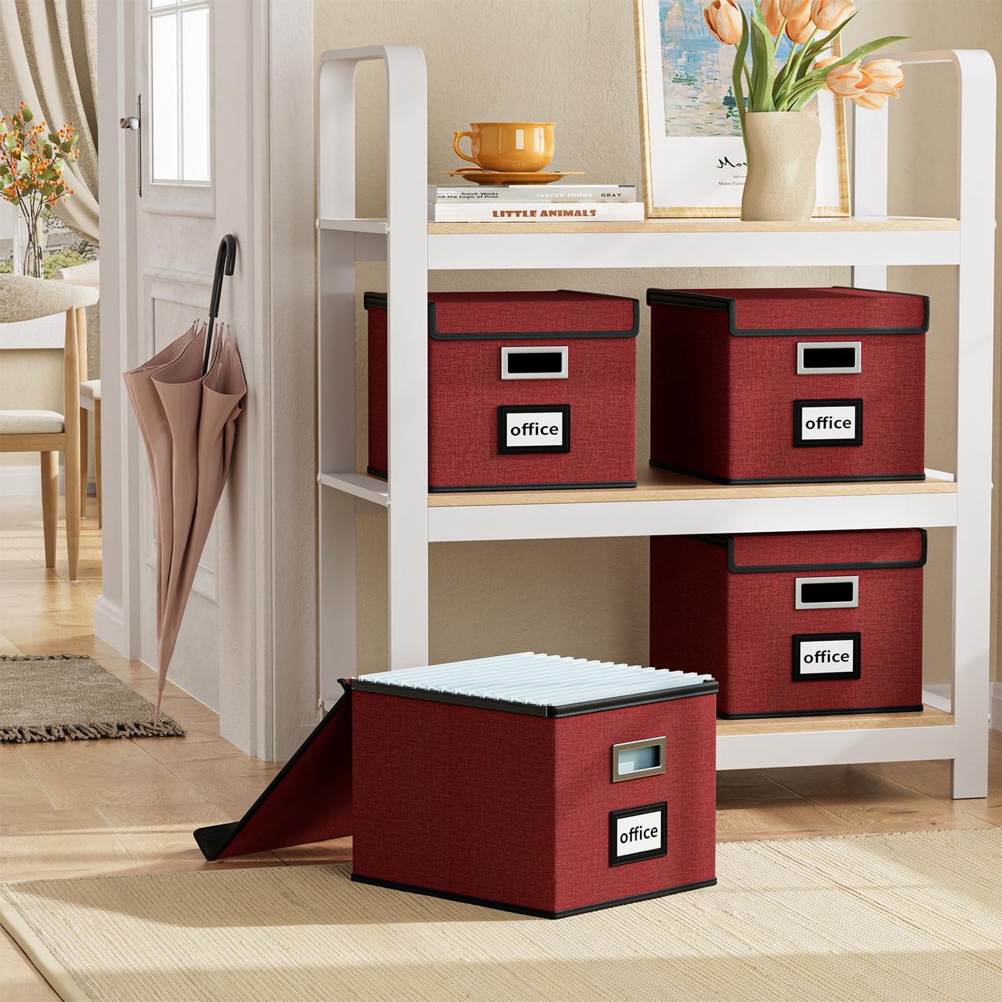 Huolewa File Organizer Box with Lids, Collapsible File Folder Organizer