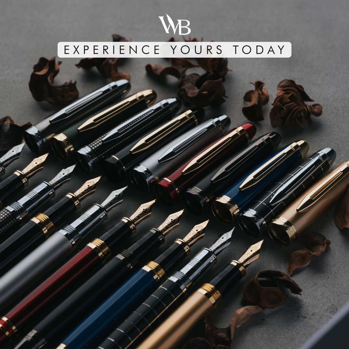 Wordsworth & Black Majesti Luxury Fountain Pen Set for Writing, Medium Nib