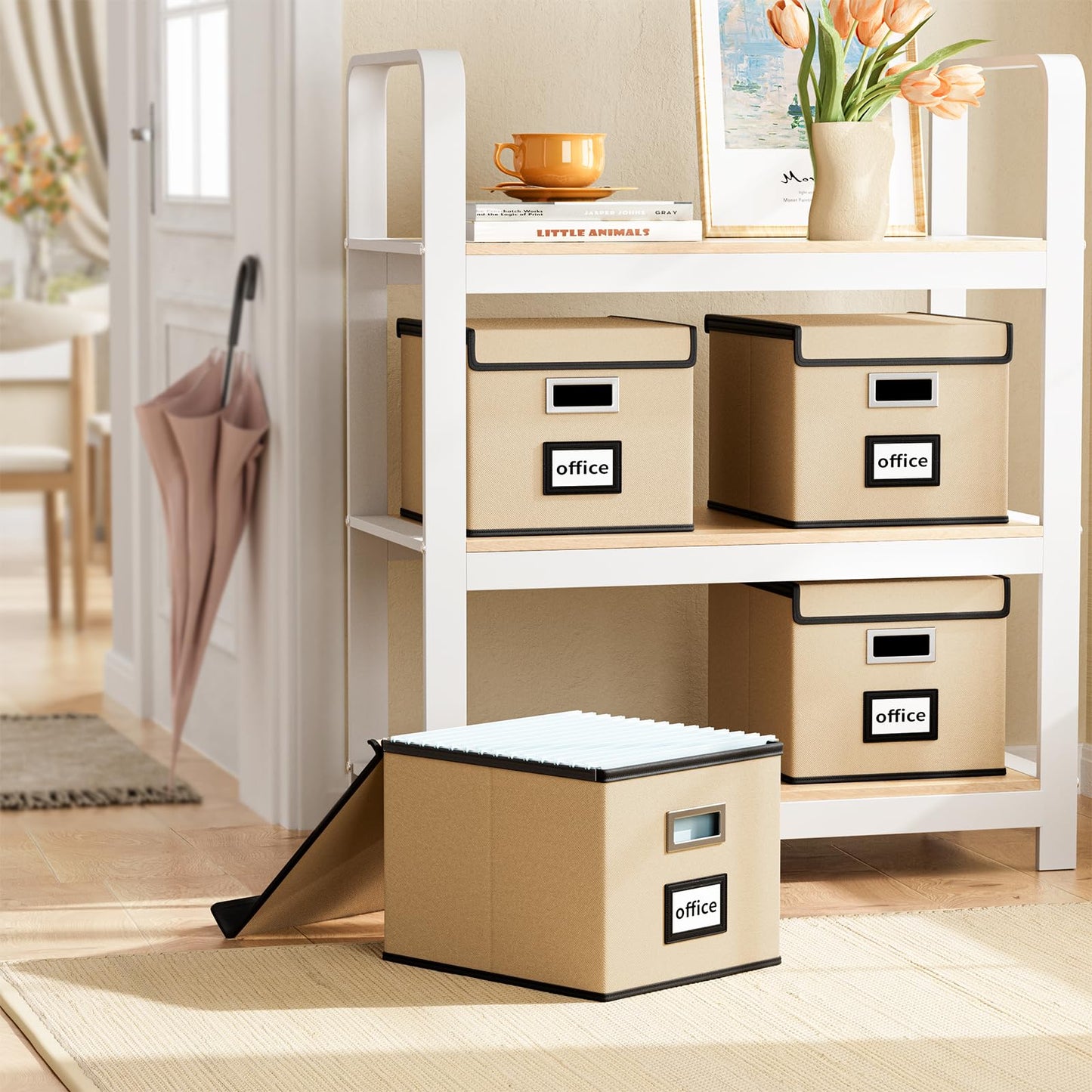 Huolewa File Organizer Box with Lids, Collapsible File Folder Organizer