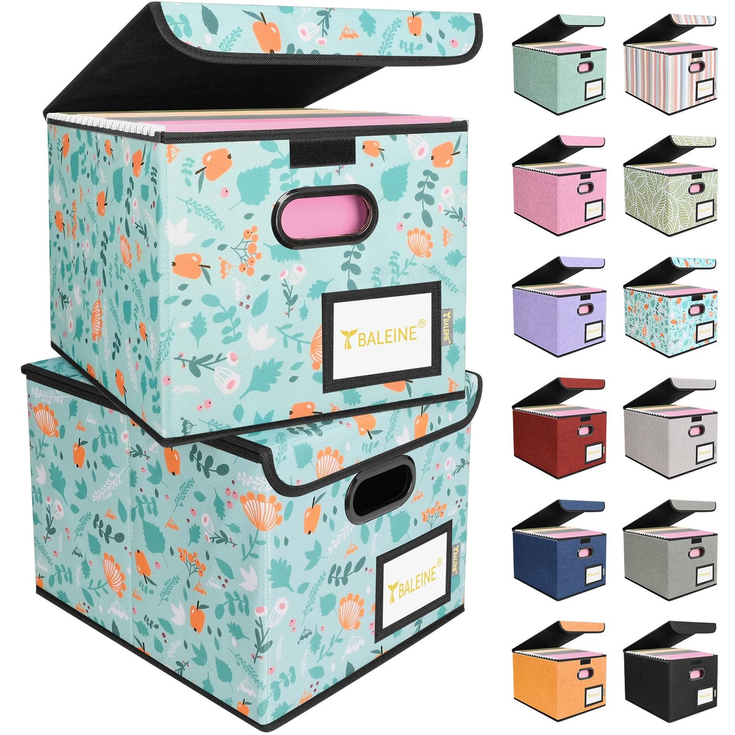 BALEINE File Organizer Box with Lid, Collapsible Hanging File Storage Box