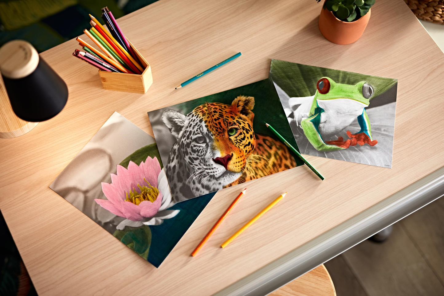 Crayola HD Coloring Kit, 30 Colored Pencils & 20 Adult Coloring Pages, Coloring Set for Adults &