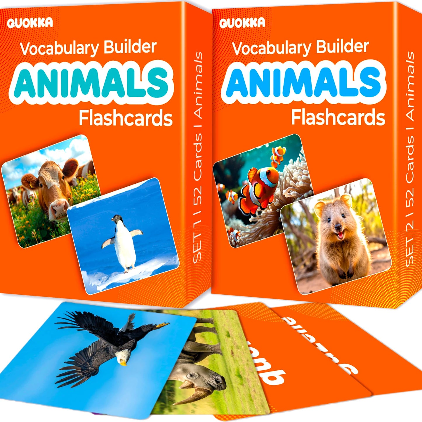 Vocabulary Builder Flash Cards for Kids Ages 4-8 — Speech Therapy Materials