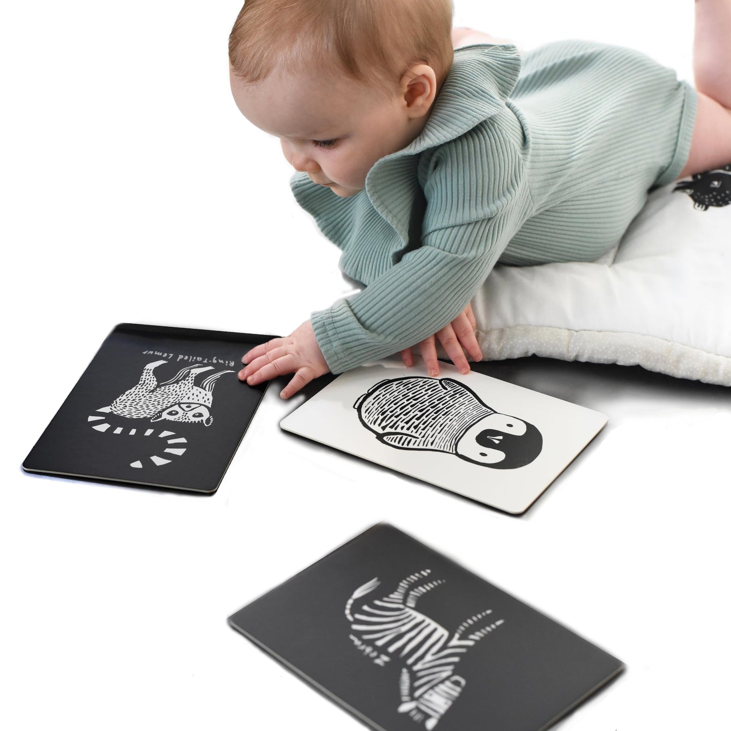 Wee Gallery High Contrast Cards for Baby - Black and White Animals