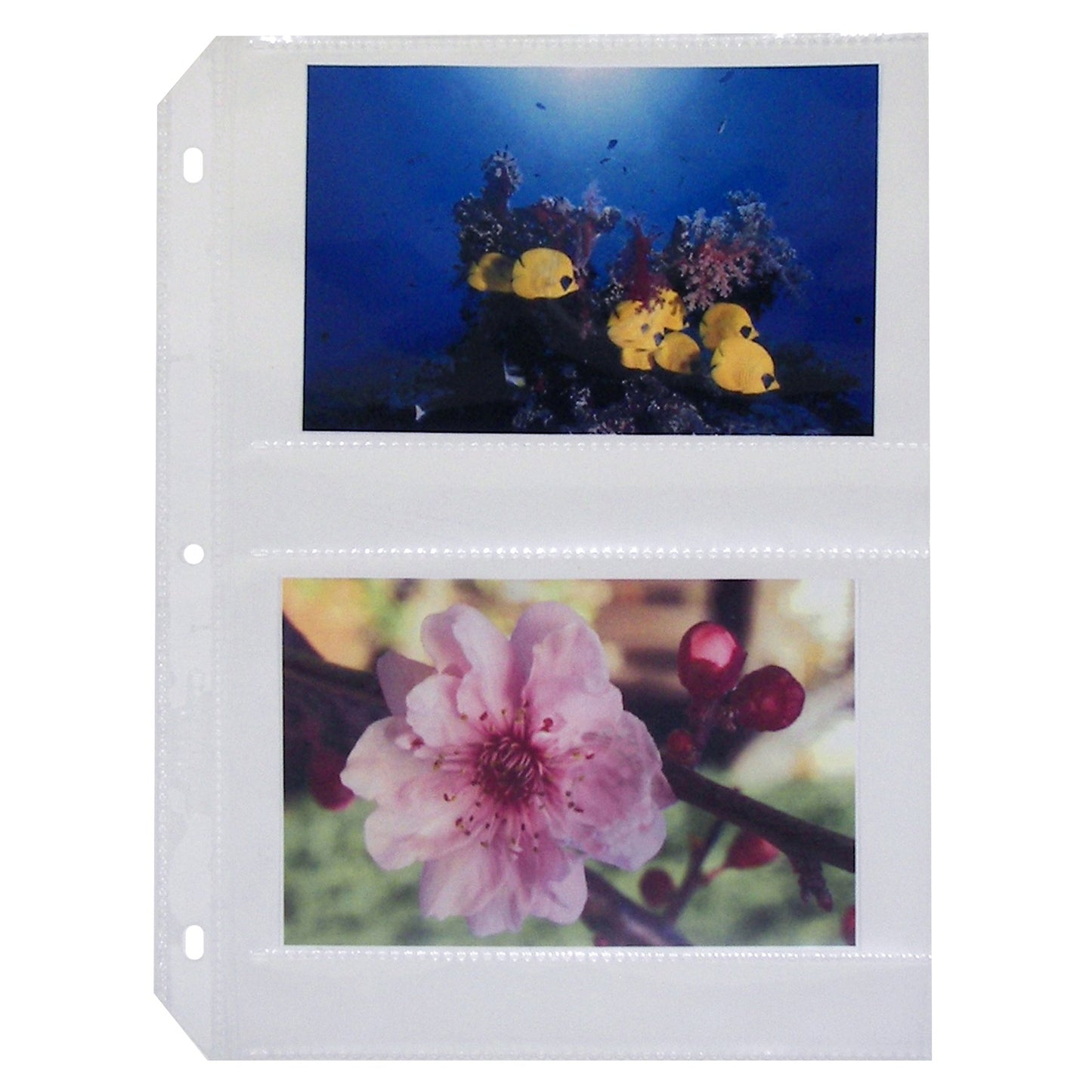 CLI52564 - Photo Holders, Side Load, Holds 4 Photos, 4x6