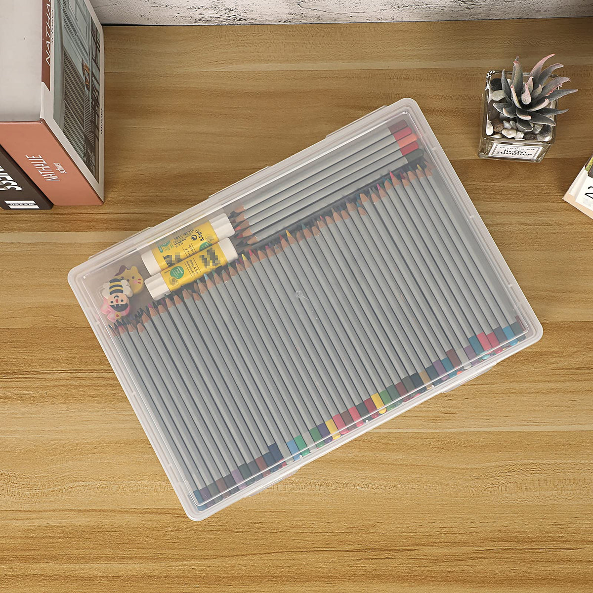 BTSKY Clear Plastic Storage Box with Flap Lid, Multipurpose Craft Organizers and Storage Box Art