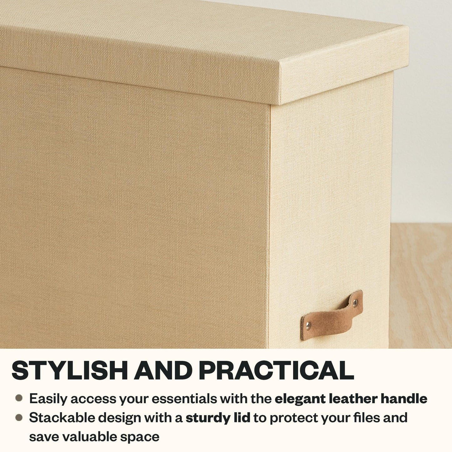 Bigso John File Box - File Storage Box and File Organizer for Important Paperwork - Durable Hanging