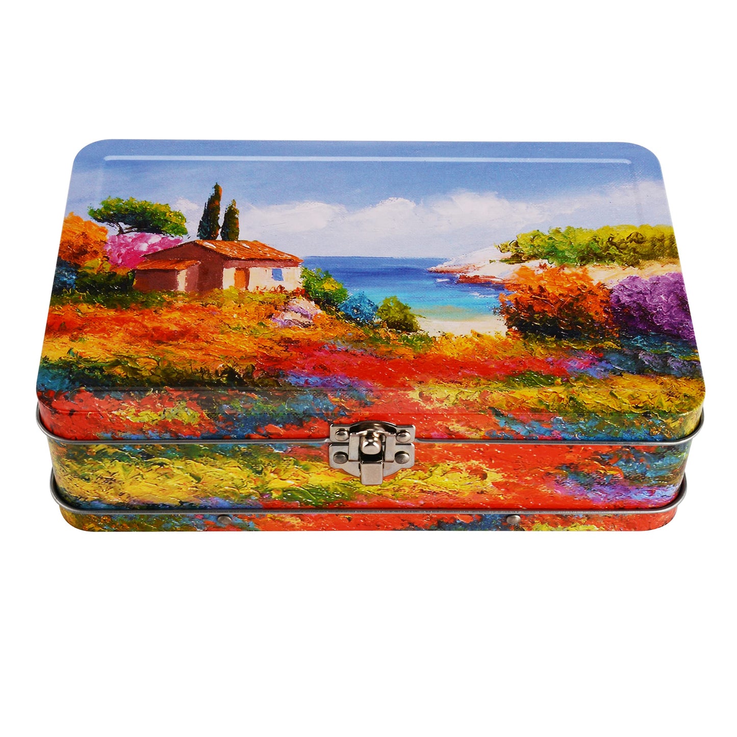 DAHO Metal Storage Box with Hinge for Office, School, Home, Makeup, Arts & Crafts and Accessories