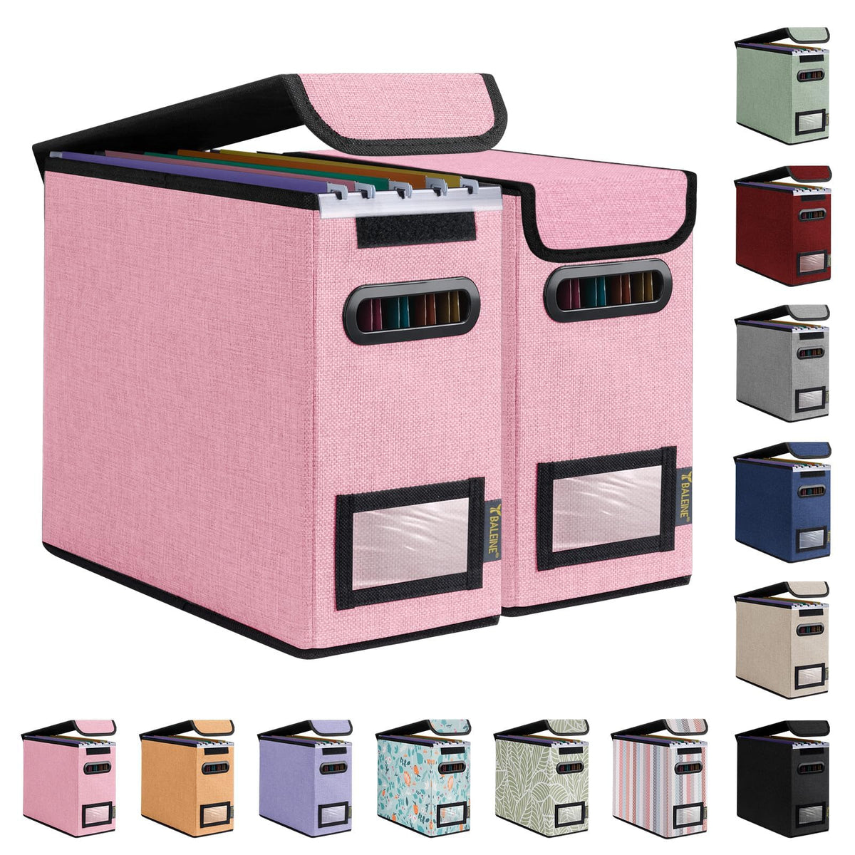 BALEINE File Organizer Box with Lid, Collapsible Hanging File Storage Box