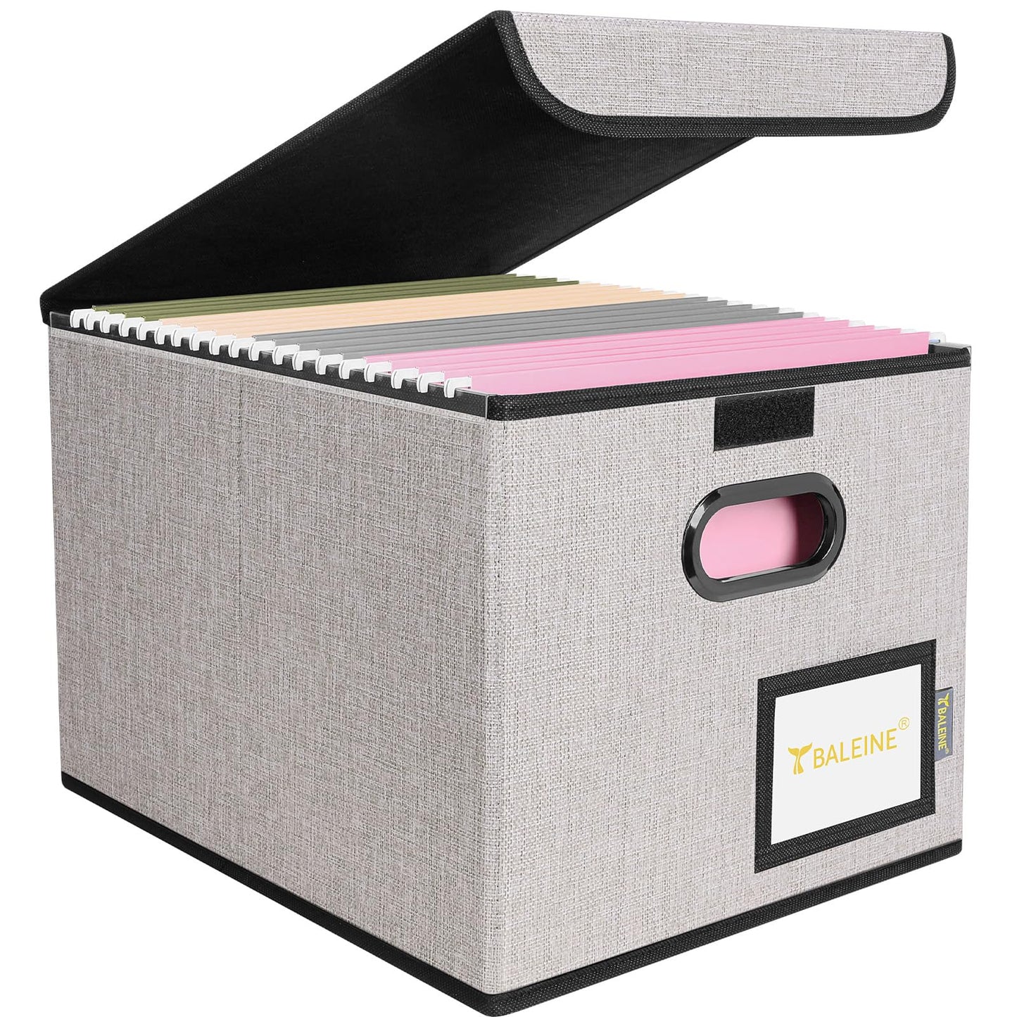 BALEINE File Organizer Box with Lid, Collapsible Hanging File Storage Box