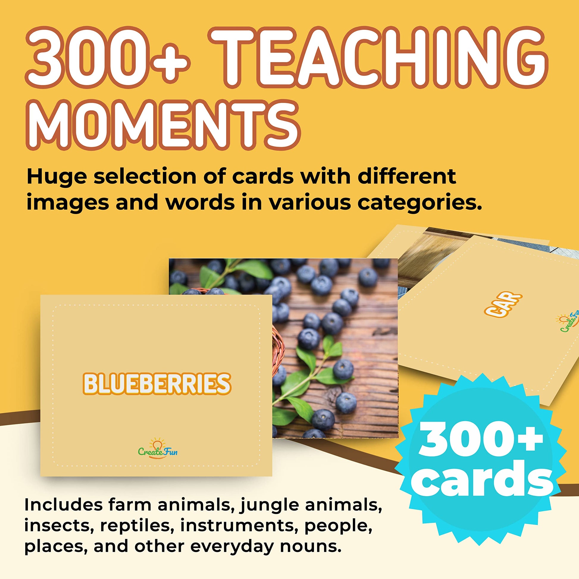 CreateFun 300 Noun Vocabulary Builder Flash Cards for Speech Therapy & ESL