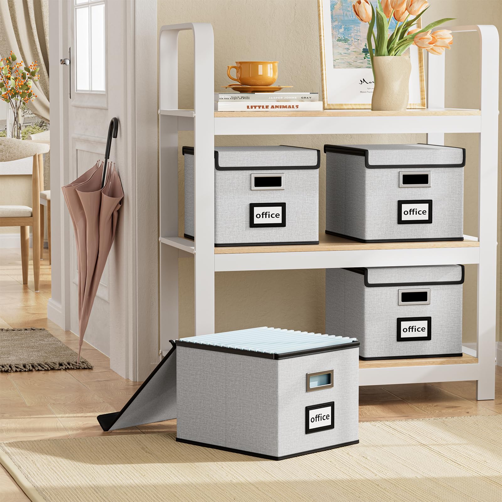 Huolewa File Organizer Box with Lids, Collapsible File Folder Organizer