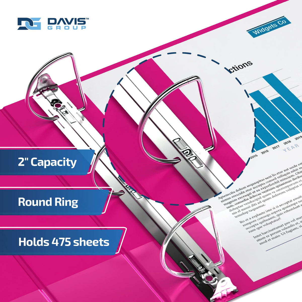 Premium Economy 3-Ring Binder, Spine Label, 2" D Rings, Pink, 6 Pack