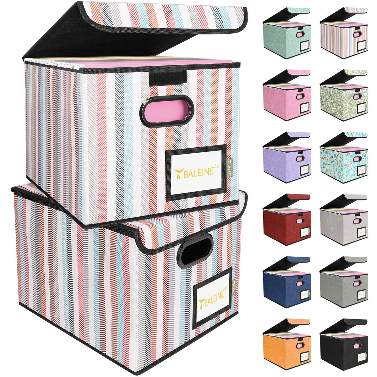 BALEINE File Organizer Box with Lid, Collapsible Hanging File Storage Box