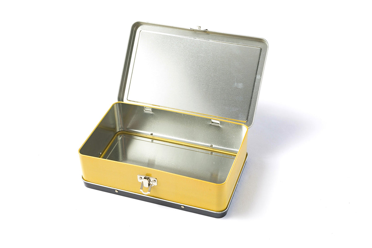 DAHO Metal Storage Box with Hinge for Office, School, Home, Makeup, Arts & Crafts and Accessories
