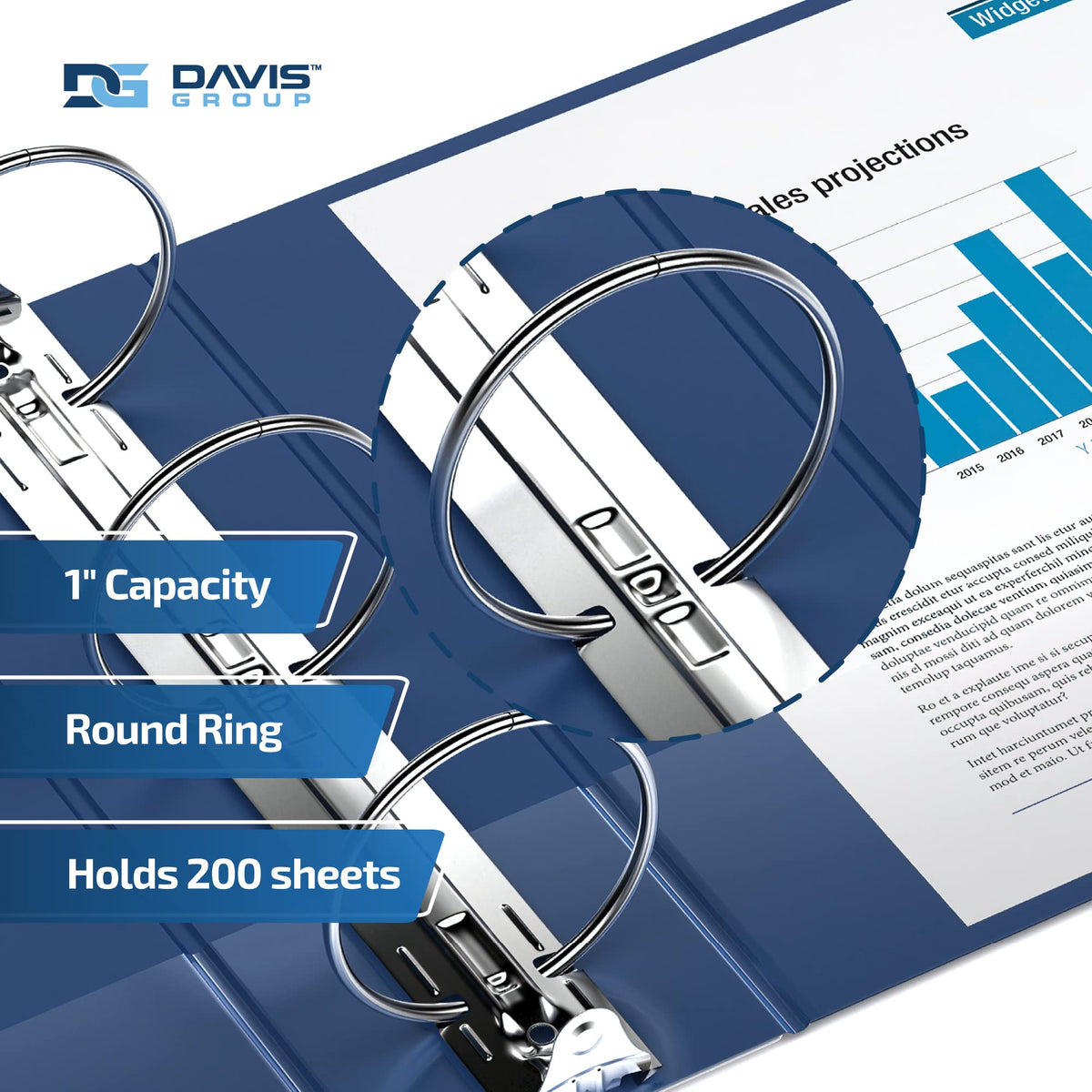 Premium Economy 3-Ring Binder, Spine Label, 1" Round Rings, Royal Blue 6 Pk