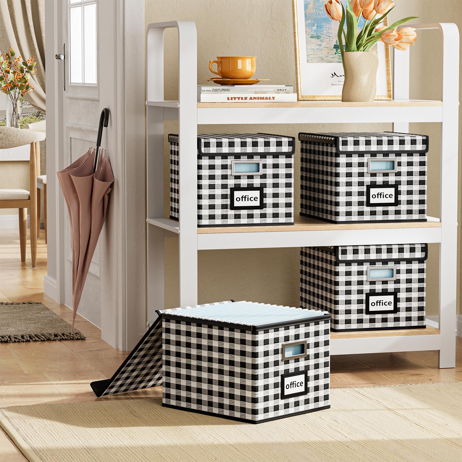 Huolewa File Organizer Box with Lids, Collapsible File Folder Organizer