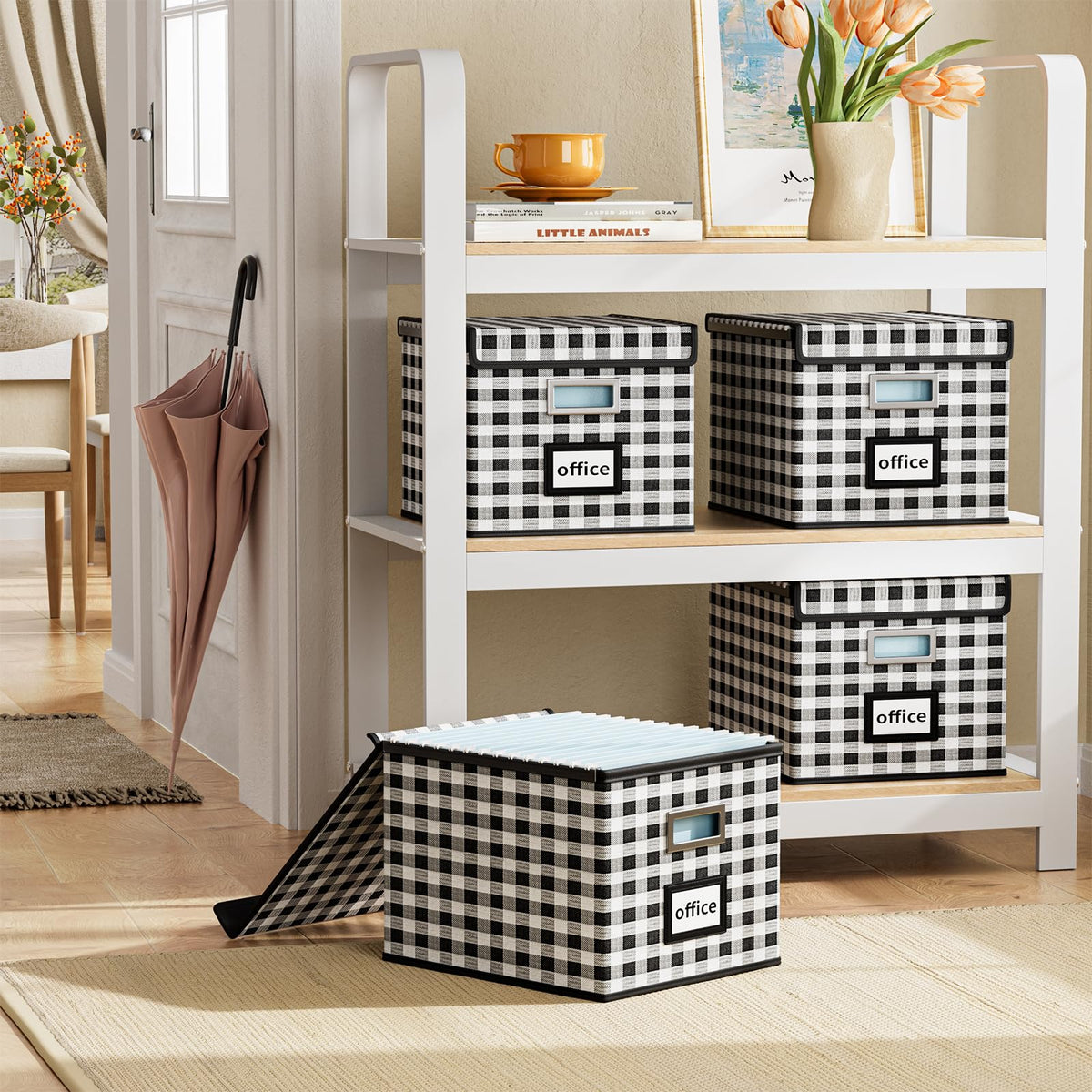 Huolewa File Organizer Box with Lids, Collapsible File Folder Organizer