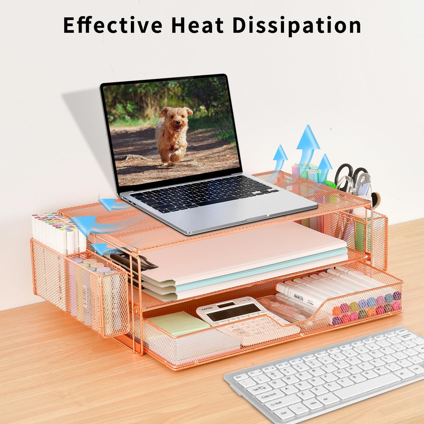 AUPSEN Computer Monitor Stands Riser，2-Tier Desk Organizers and Accessories, Office Desk