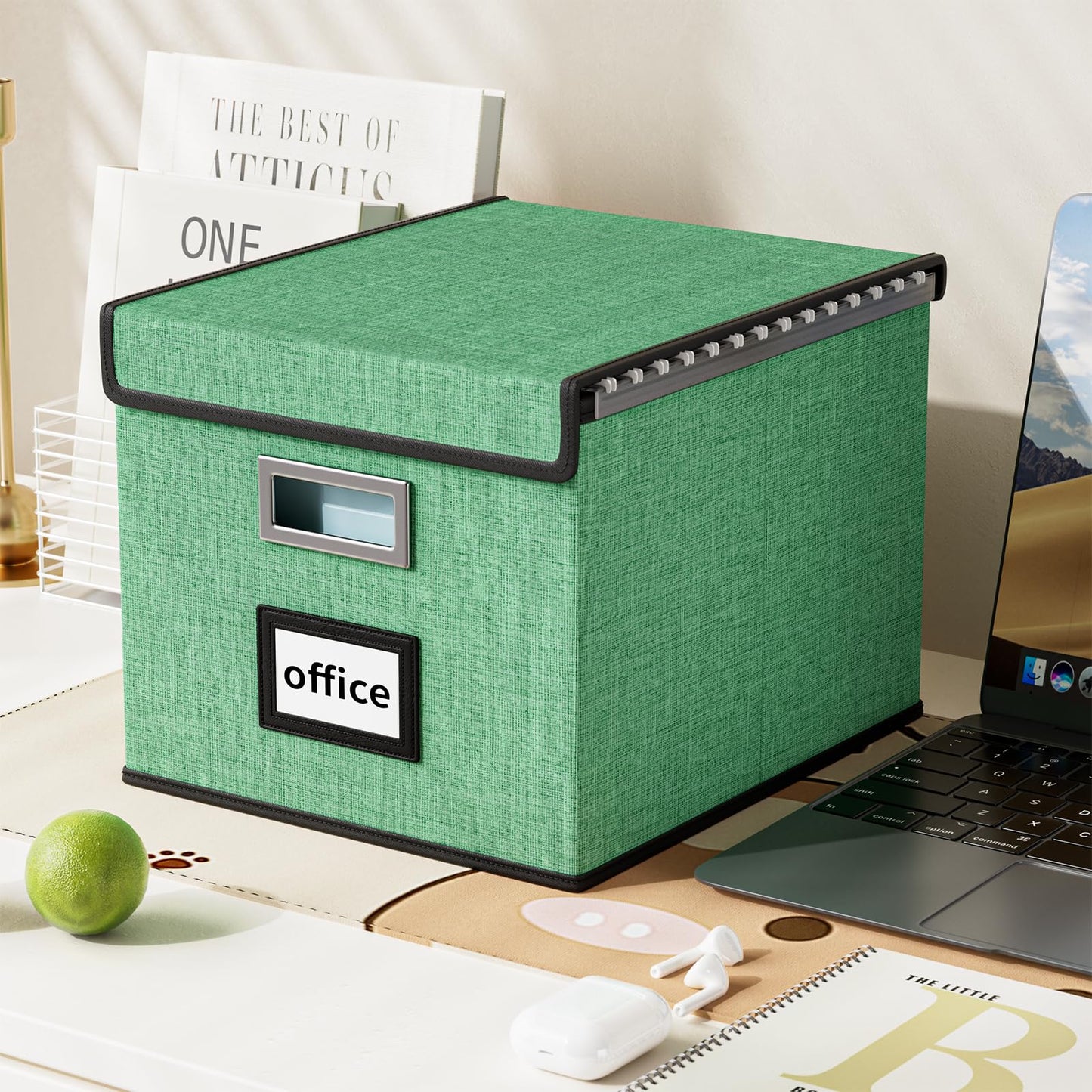 Huolewa File Organizer Box with Lids, Collapsible File Folder Organizer