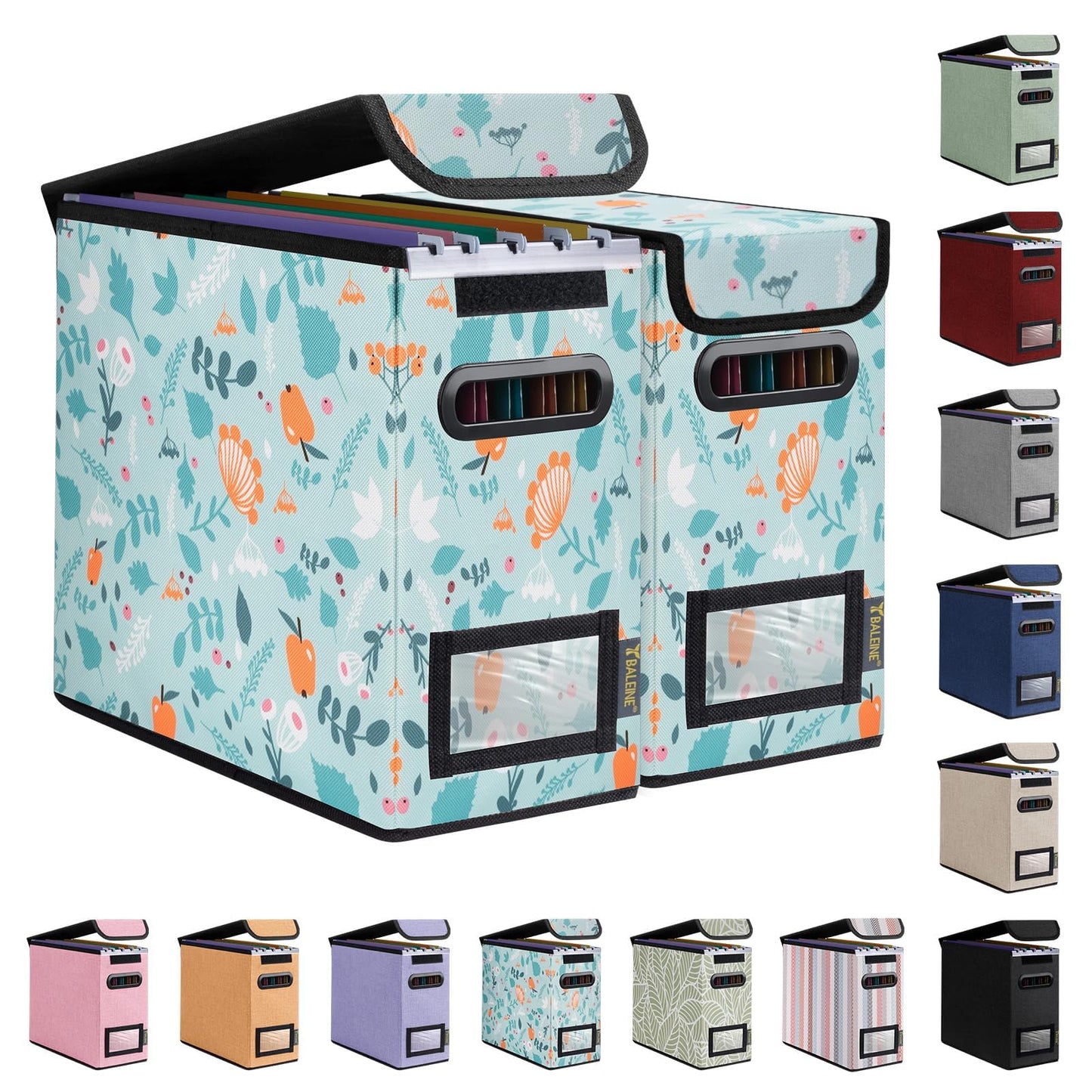 BALEINE File Organizer Box with Lid, Collapsible Hanging File Storage Box