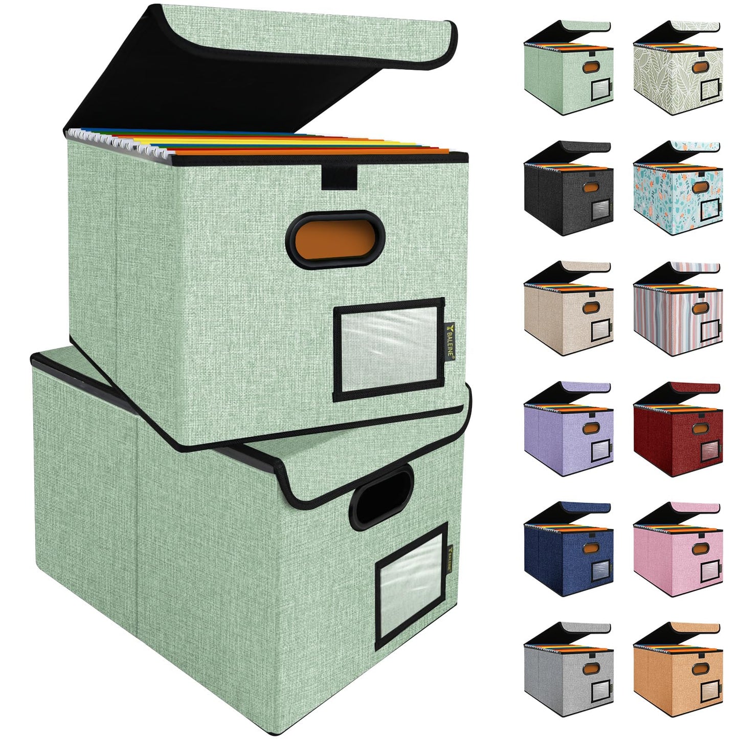 BALEINE File Organizer Box with Lid, Collapsible Hanging File Storage Box