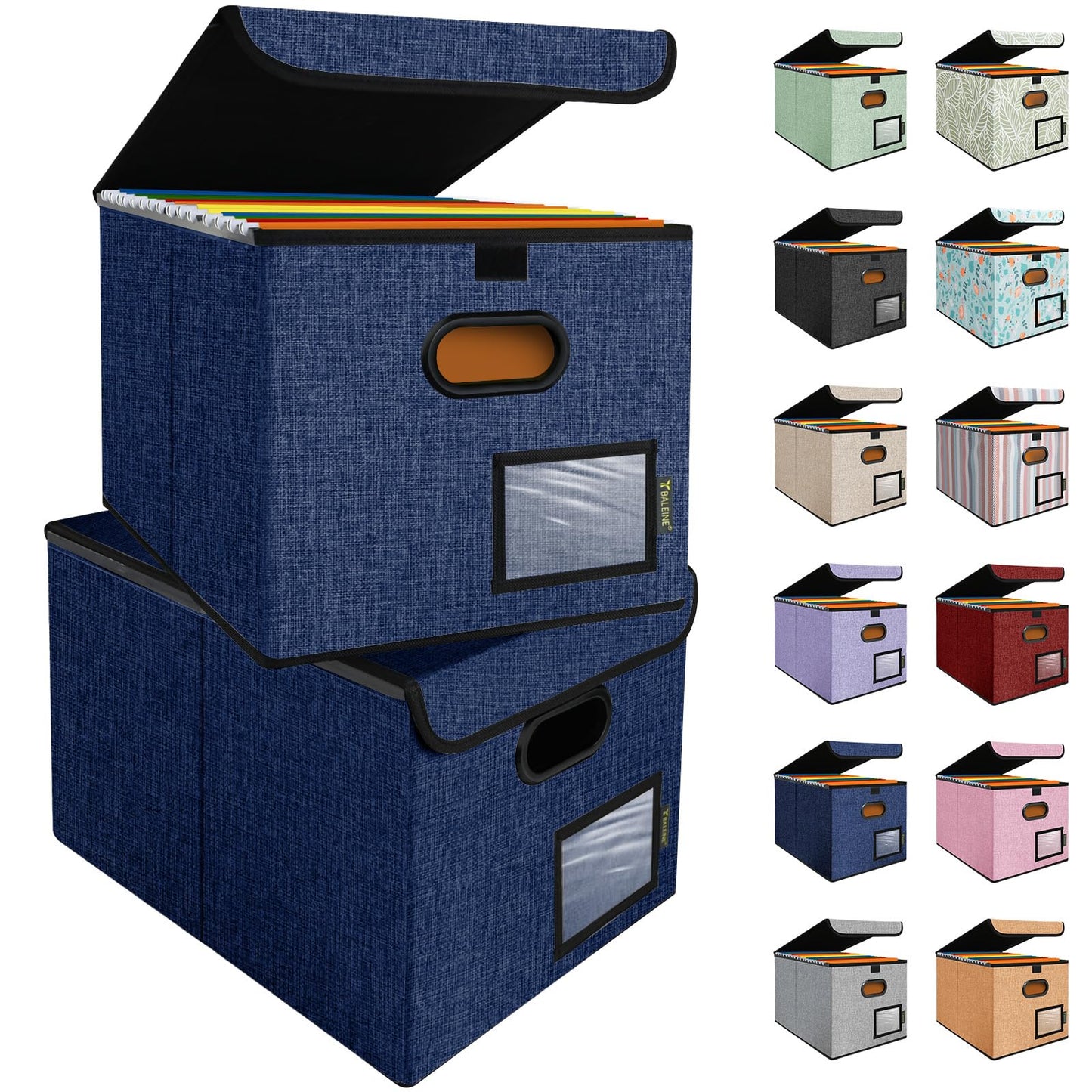 BALEINE File Organizer Box with Lid, Collapsible Hanging File Storage Box