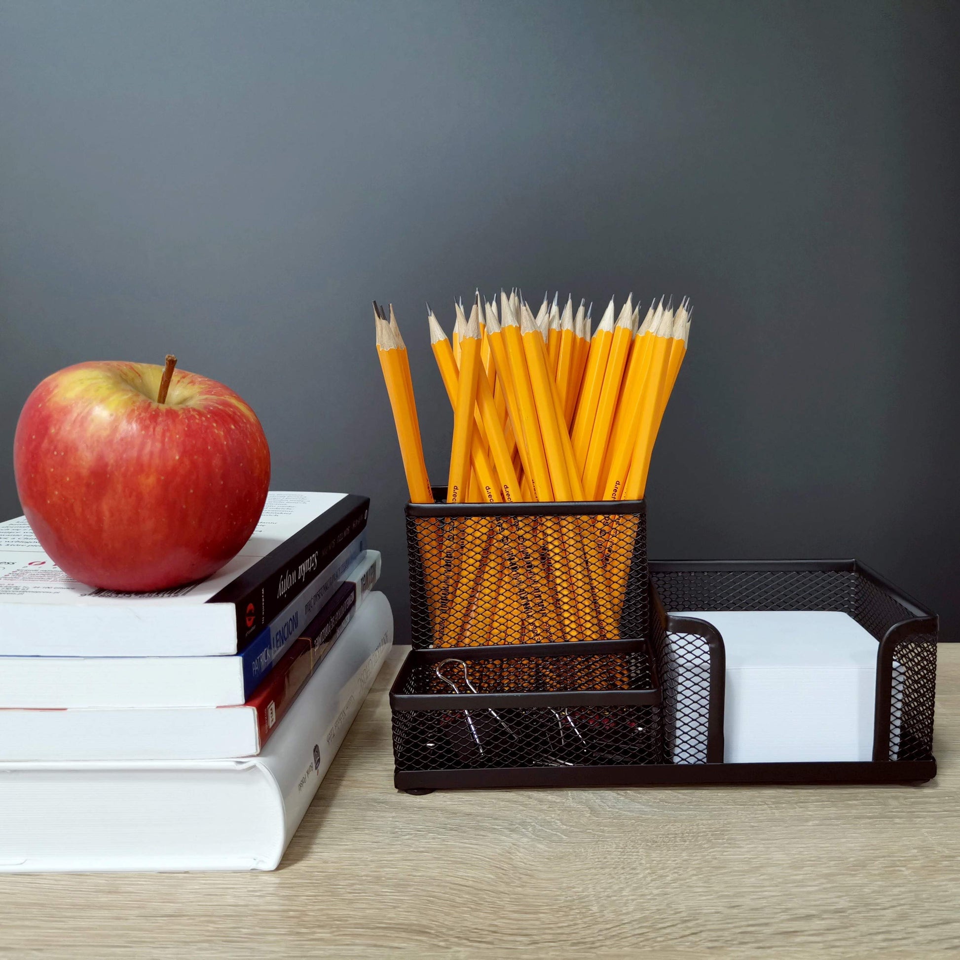 Leviatan Desk Organizer | Metal Desk Organizer | Office Pen Holder | Desk Organizer with Mesh Note